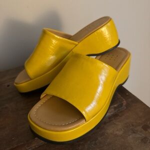 Chunky Wedge Sandals